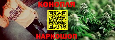 гидра Кингисепп