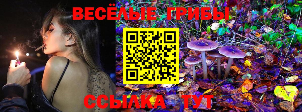 Галлюциногенные грибы Magic Shrooms Котовск