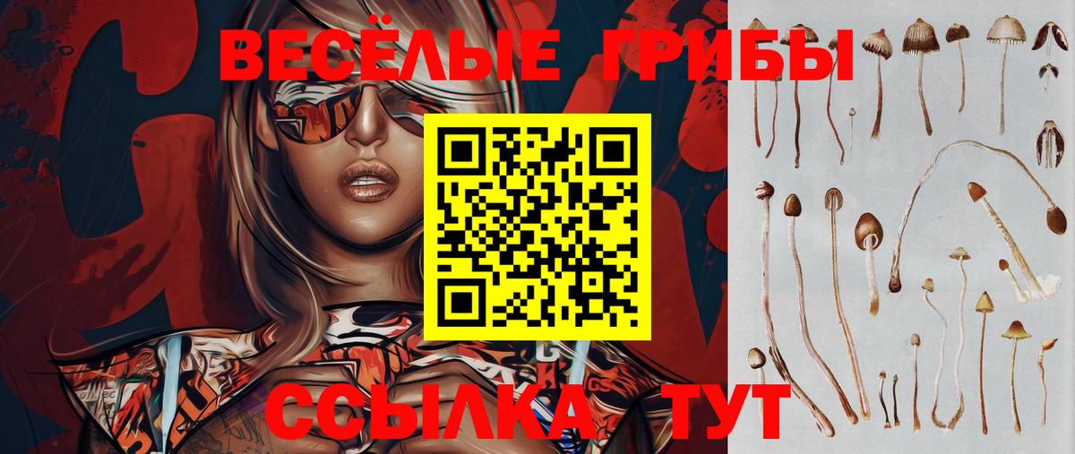 Псилоцибиновые грибы Cubensis  Вход с VPN  Галлюциногенные грибы Cubensis  Котовск 