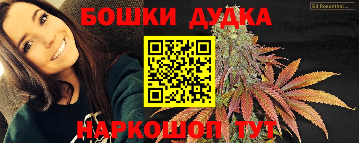 Шишки марихуана планчик  МАРИХУАНА SATIVA & INDICA  Вход с VPN  Котовск  Бошки Шишки MAZAR  Каннабис семена 